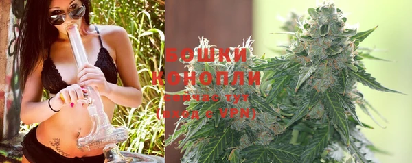 прущие крисы Тайга