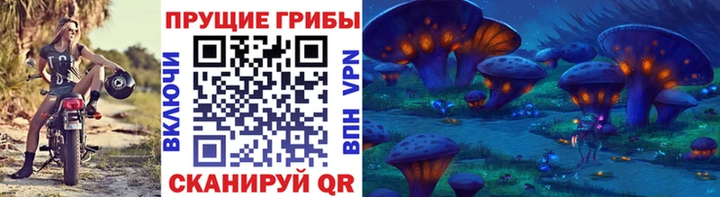 Галлюциногенные грибы Magic Shrooms  Купить  Великий Новгород 