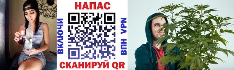 Бошки Шишки MAZAR Великий Новгород