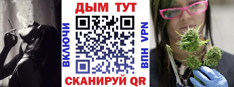 Купить где  Великий Новгород  Марихуана SATIVA & INDICA 